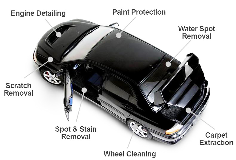 Pro Auto Detailers - Services